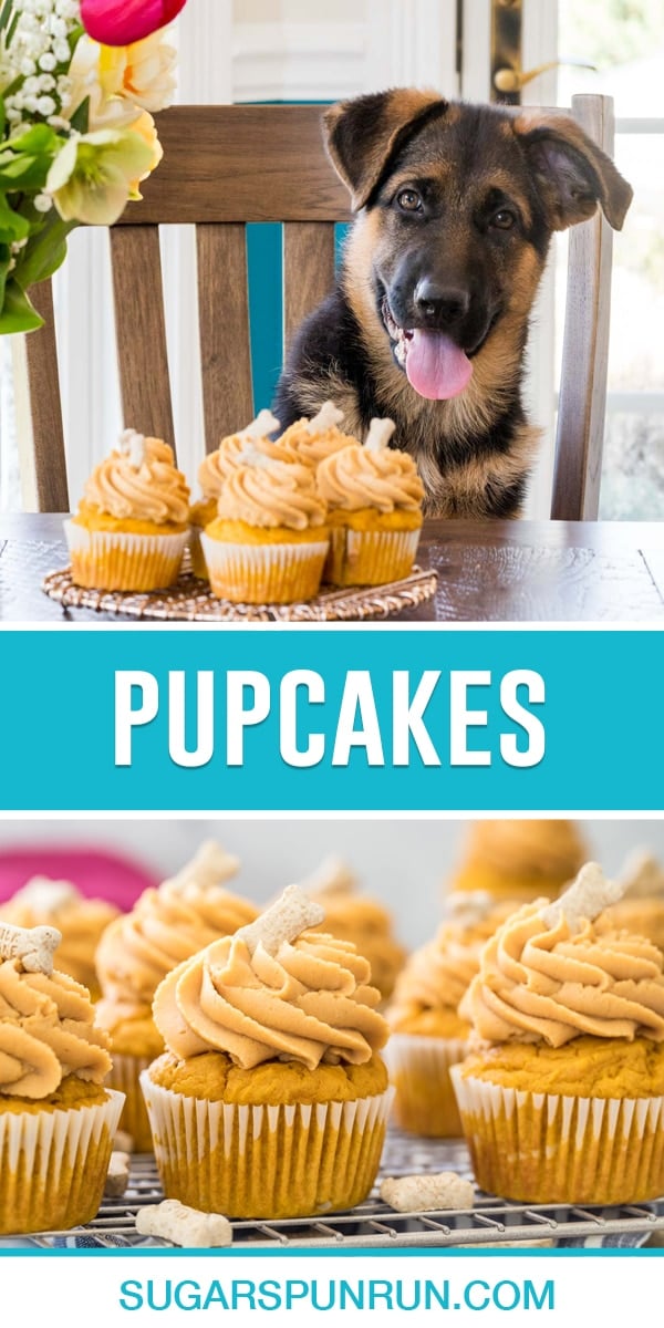 collage of pupcakes, top image is of german shepard puppy behind tray of cupcakes at table, bottom image is a close up image of pupcakes on cooling rack