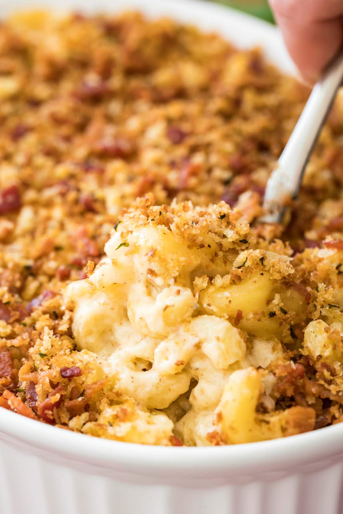 close-up view of bacon mac and cheese topped with crispy panko in white casserole dish