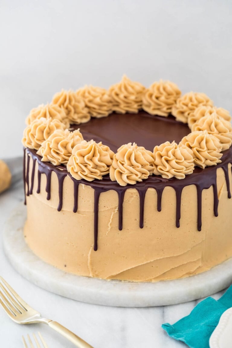 Peanut Butter Chocolate Cake - Sugar Spun Run