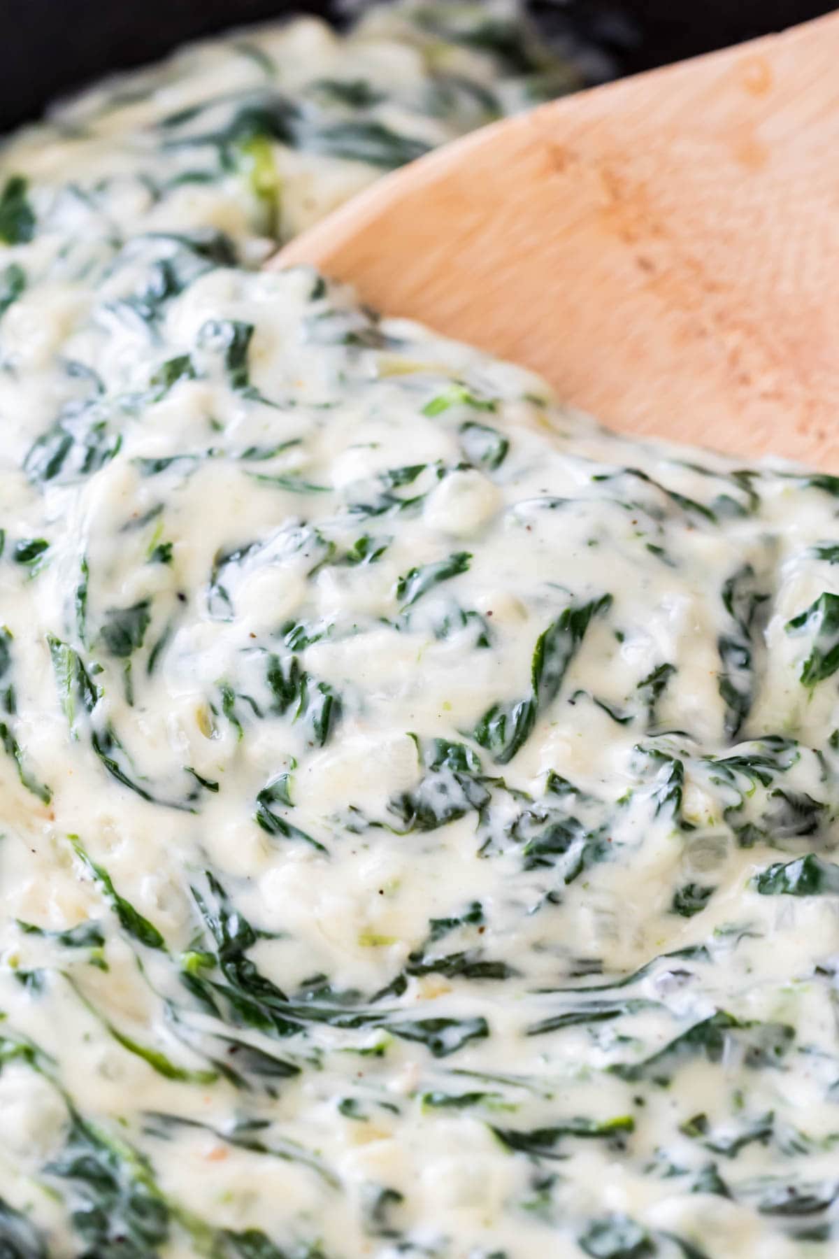 close-up view of thick and creamy creamed spinach