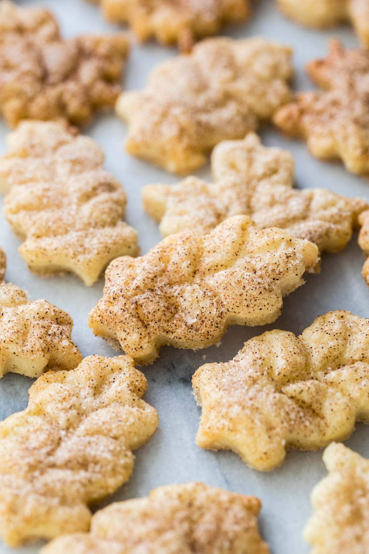 Cinnamon Sugar Pie Crust Chips