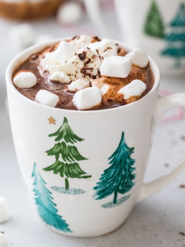 mug of hot chocolate topped with whipped cream and mini marshmallows