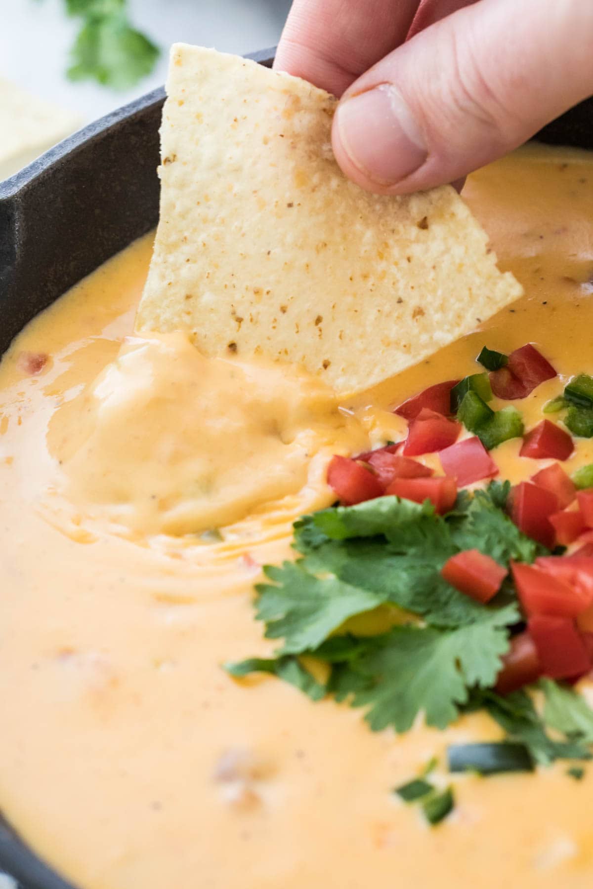 corn tortilla chip being dipped into homemade queso topped with cilantro and diced tomato