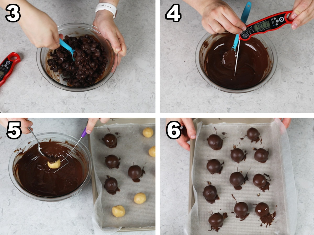 collage of four photos showing how to dip peanut butter balls in tempered chocolate