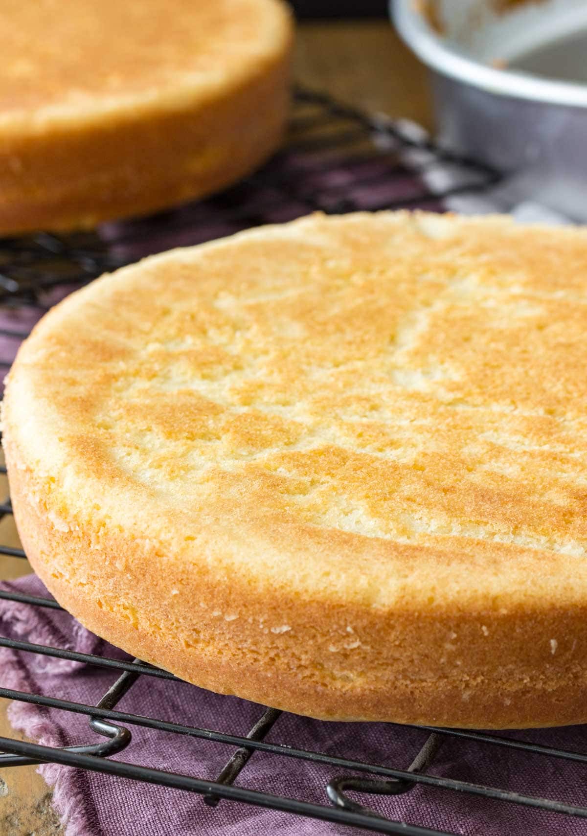 unfrosted vanilla cake layer cooling on black cooling rack