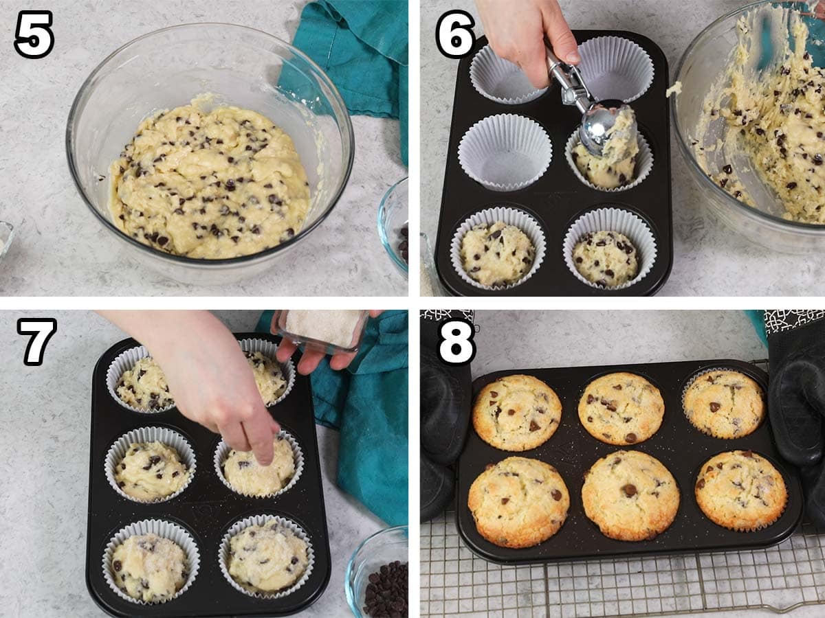 collage of four photos showing chocolate chip muffin batter being portioned into a muffin tin, sprinkled with sugar, and baked