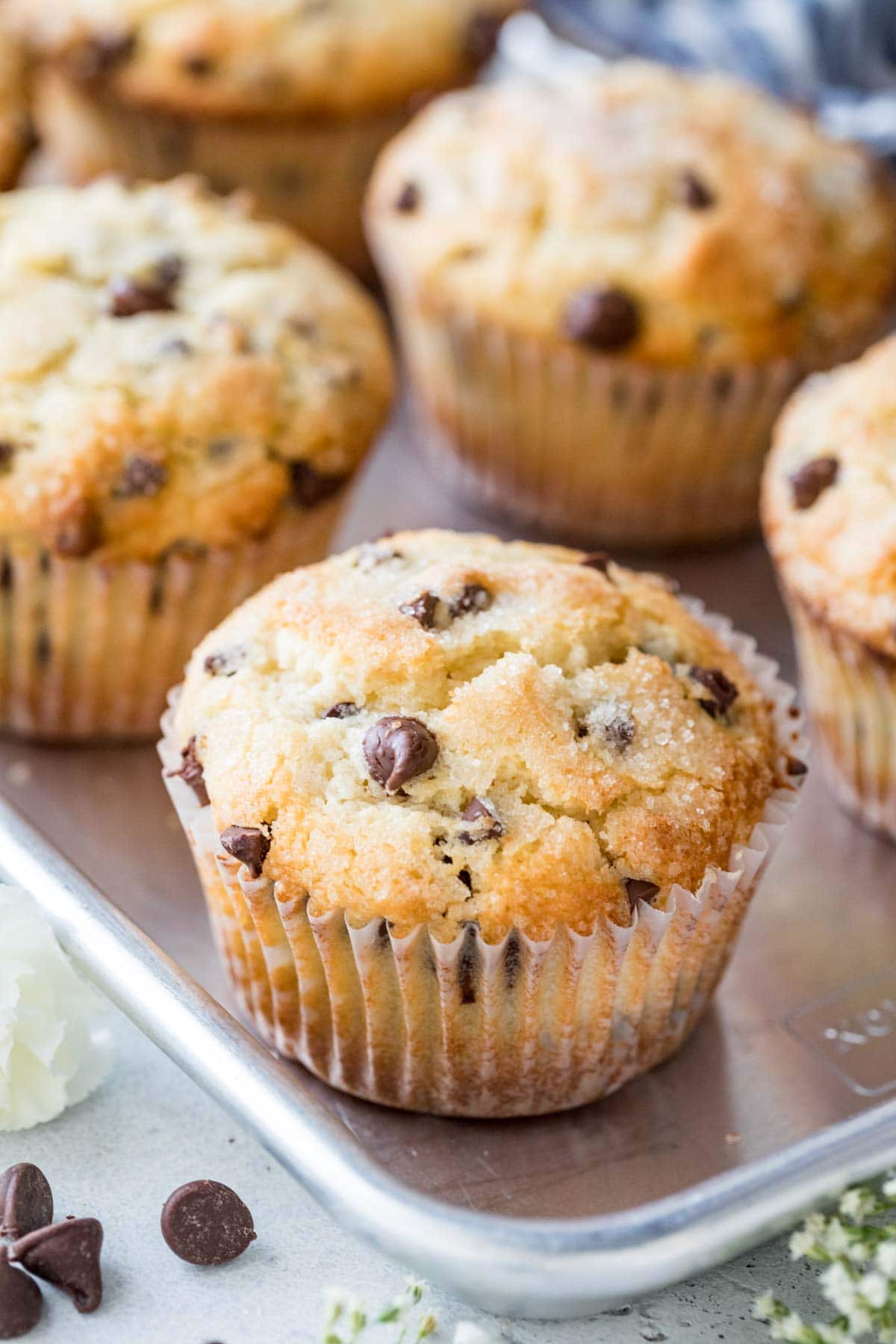 large, golden brown chocolate chip muffins with sugared tops resting on a cookie sheet