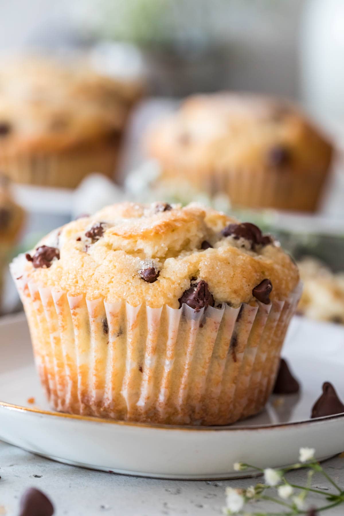 jumbo bakery style chocolate chip muffin studded with chocolate chips and topped with coarse sugar