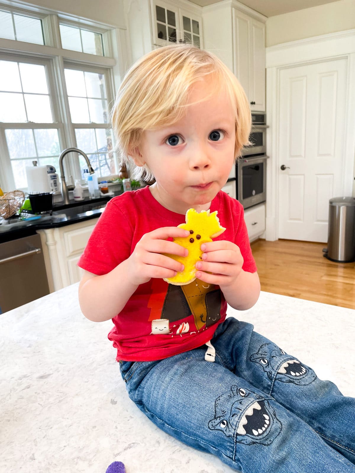 a young blond boy sitting on a countertop enjoying a yellow rabbit shaped sugar cookie