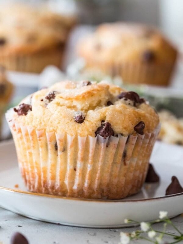 homemade chocolate chip muffin close up