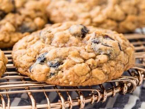 Oatmeal Raisin Dehydrator Cookies