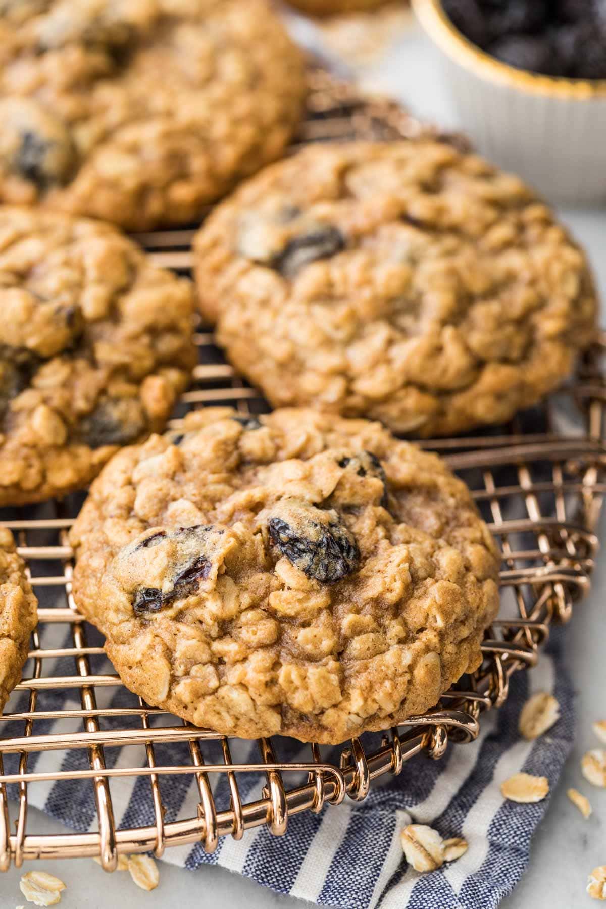 overhead view of baked oatmeal cookies studded with raisins