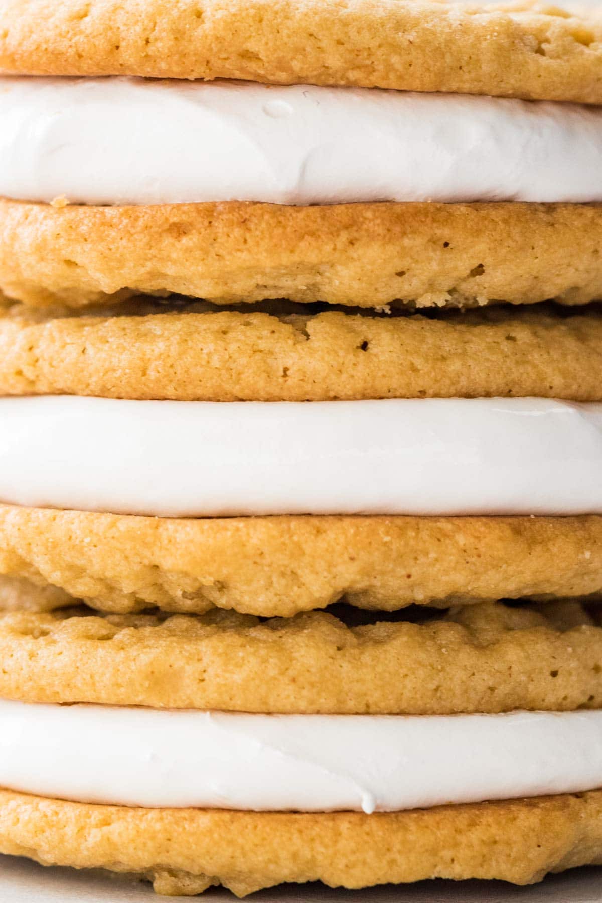 extremely close view of peanut butter sandwich cookies filled with marshmallow cream