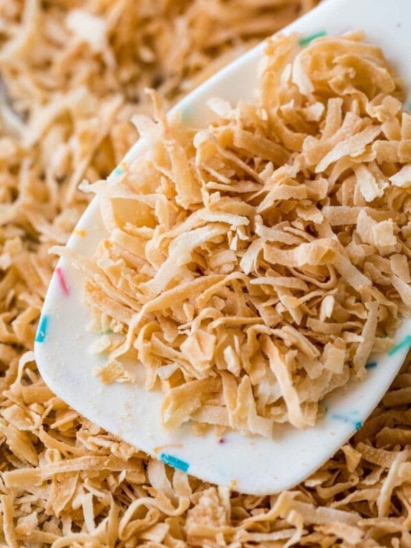 spoon scooping toasted coconut