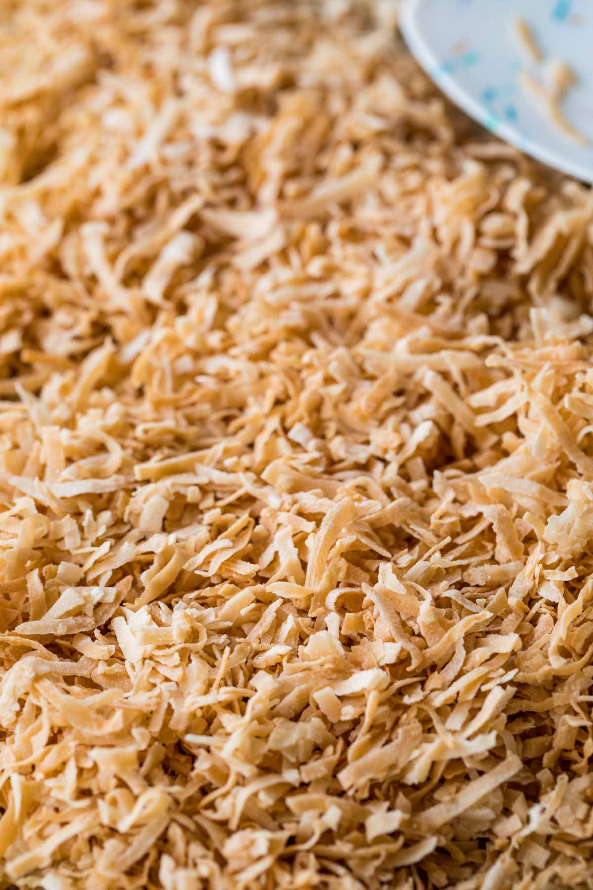 golden shredded coconut flakes after toasting