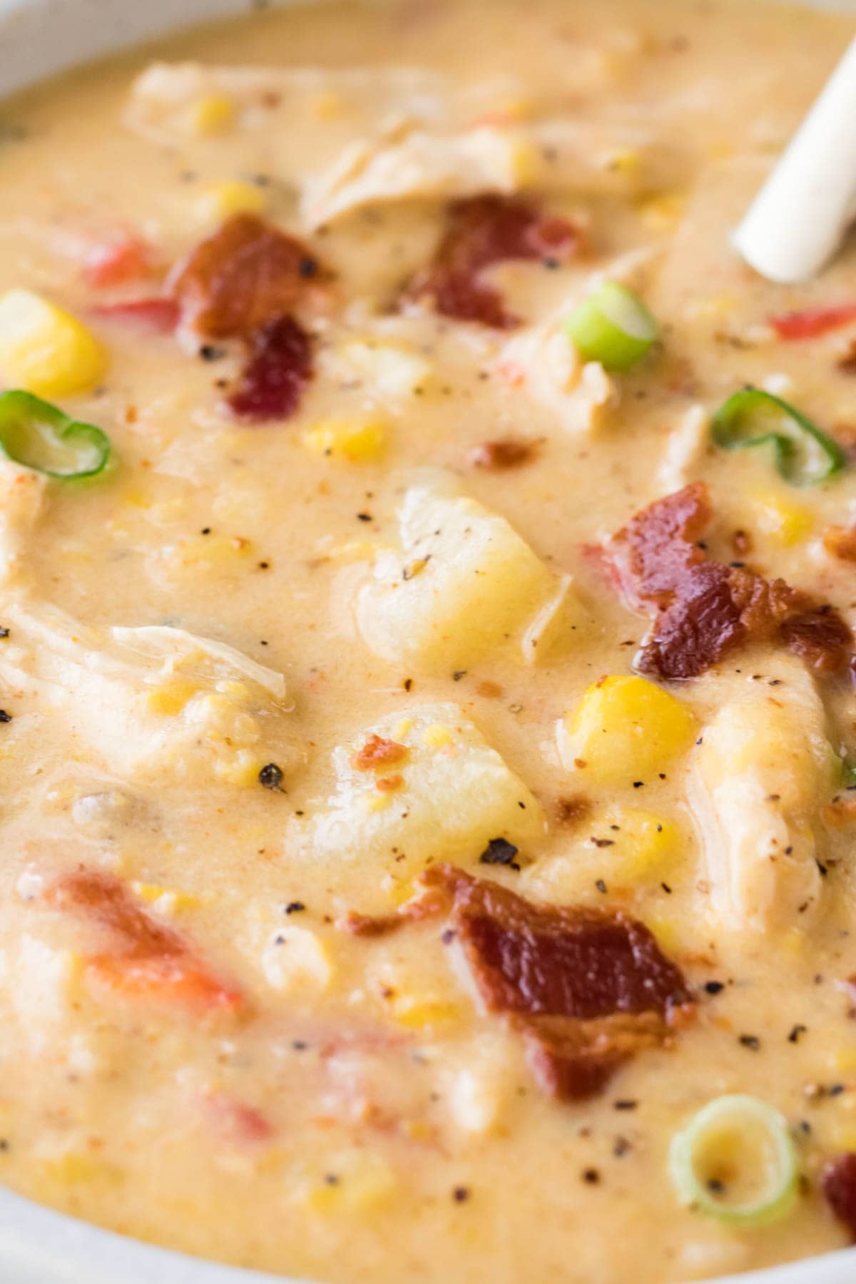 Easy Corn Chowder With TJ's Chicken-less Salt & Everything But The