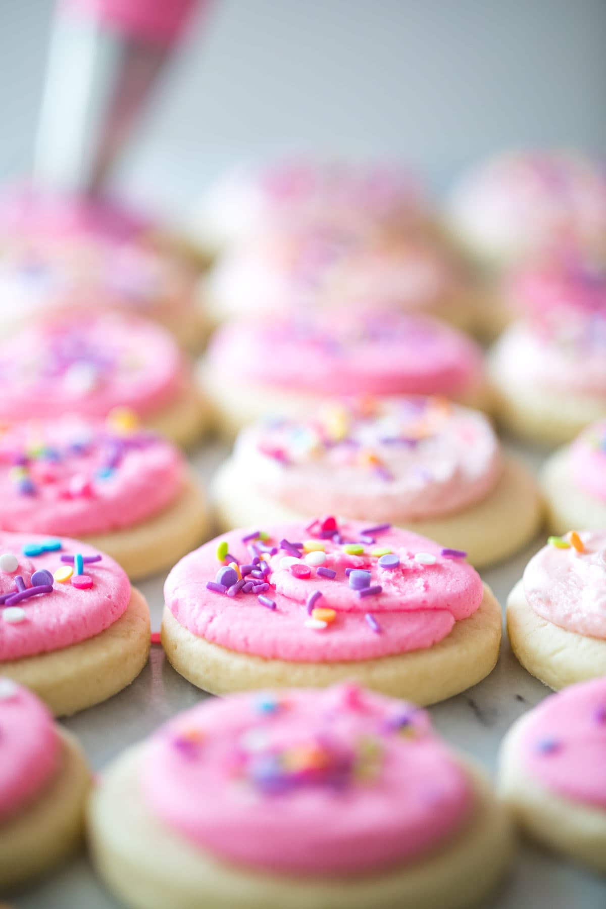 rows of precisely cut round cookies topped with pink icing and sprinkles