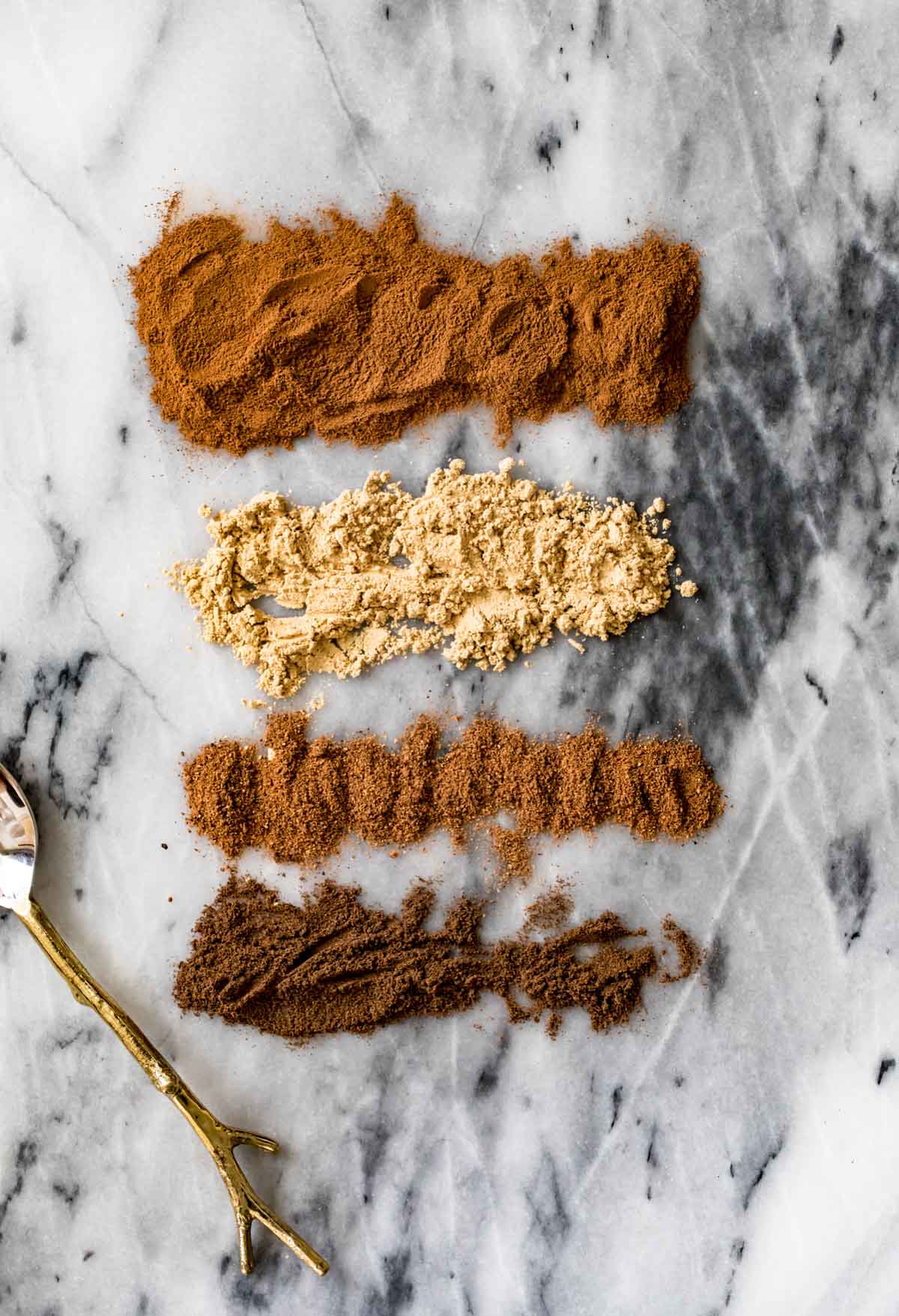 overhead view of four different kinds of spices scattered across a gray marble surface