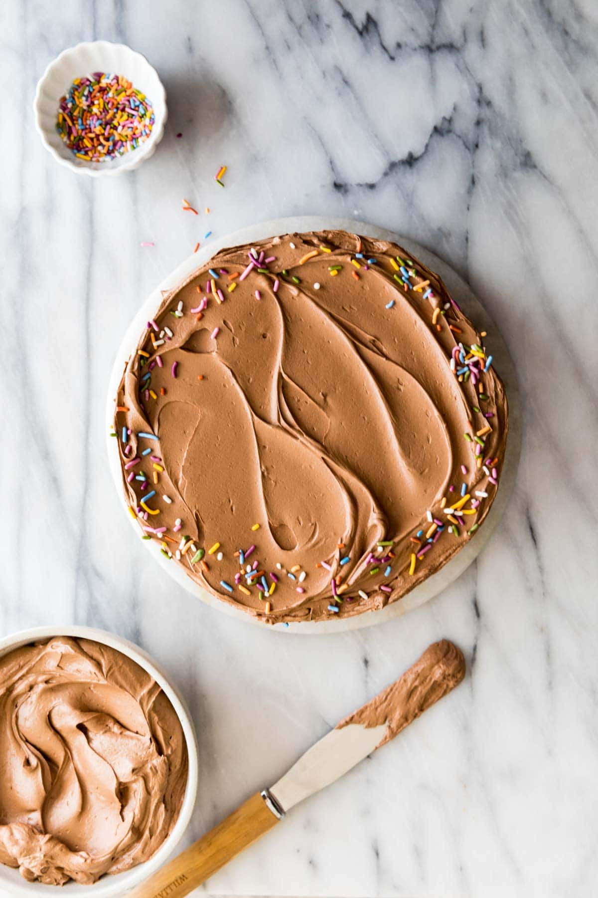 Overhead view of a chocolate frosted cake topped with a border of colorful sprinkles.