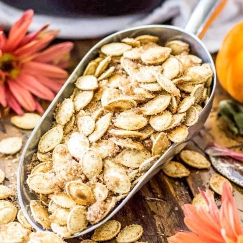 Cinnamon Sugar Pumpkin Seeds - Sugar Spun Run