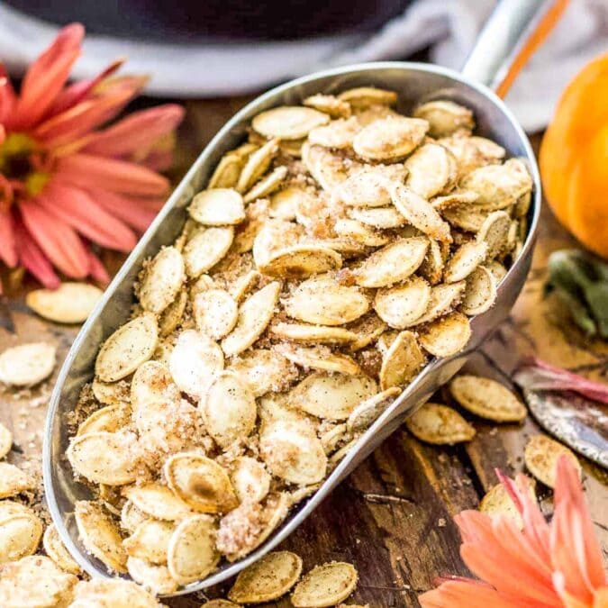 Cinnamon Sugar Pumpkin Seeds Sugar Spun Run