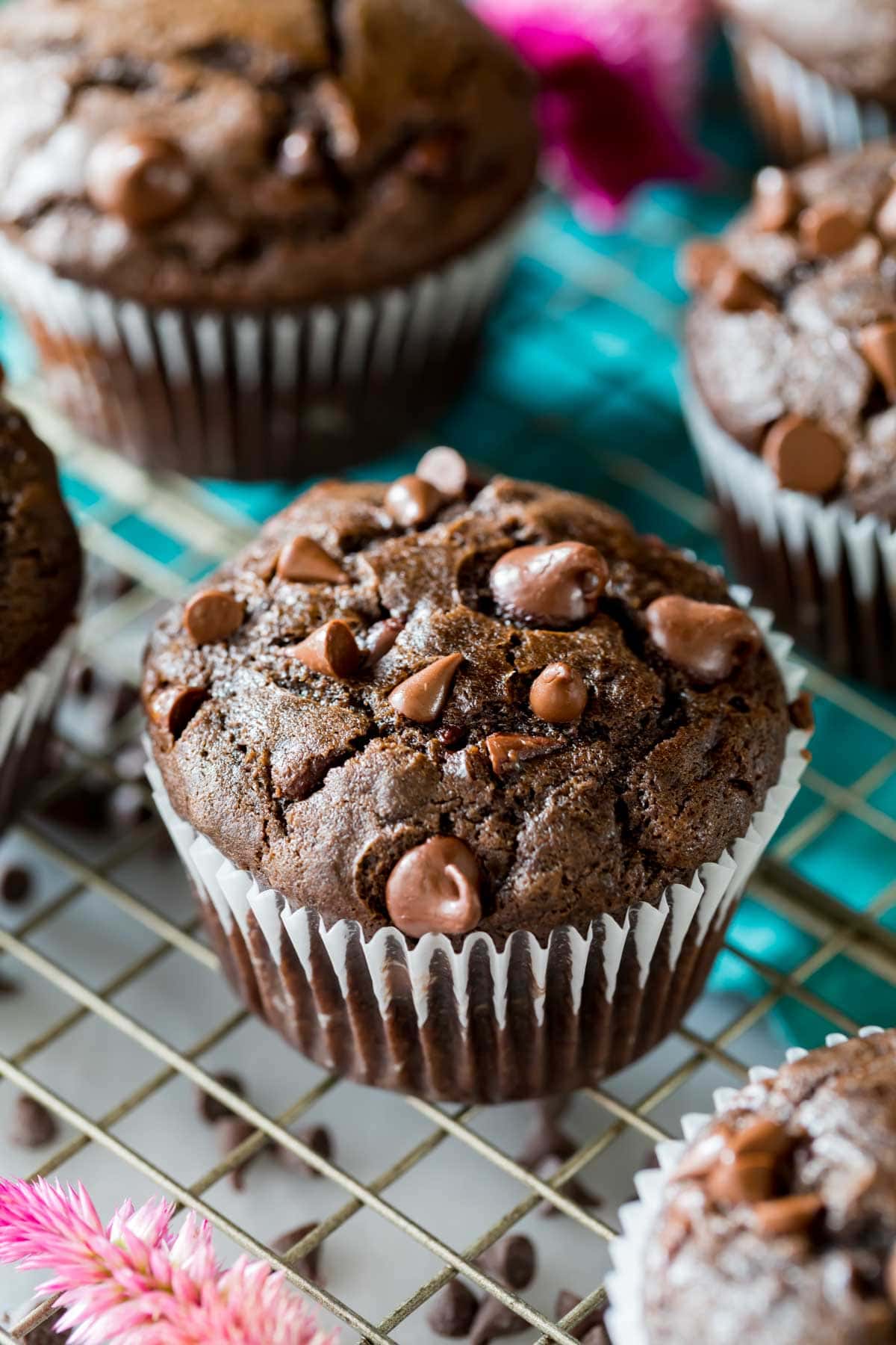 Double Chocolate Chip Muffin Tops