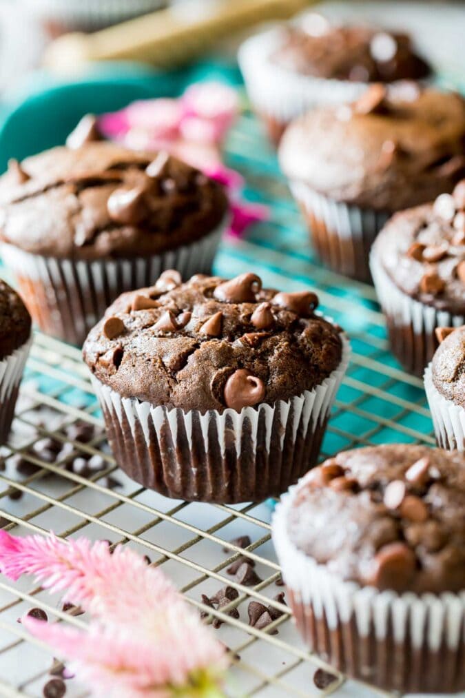 Double Chocolate Muffins Sugar Spun Run