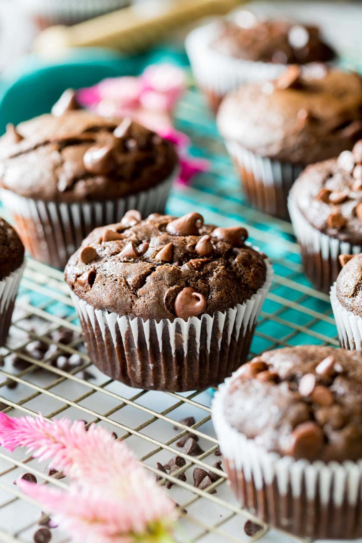 Double Chocolate Muffins - Pies and Tacos