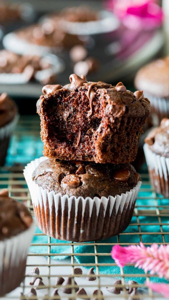Double Chocolate Muffins Sugar Spun Run