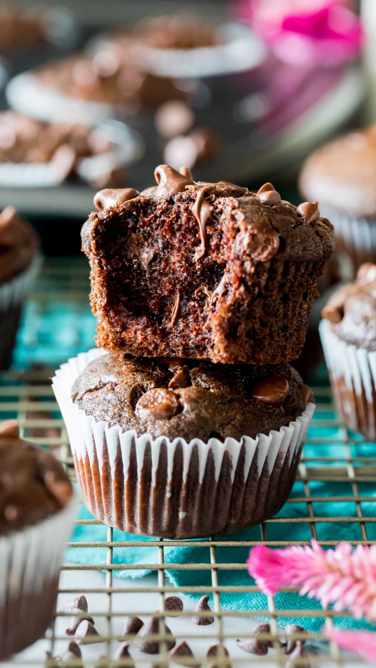 Two double chocolate muffins stacked on top of each other with the top muffin missing a bite.