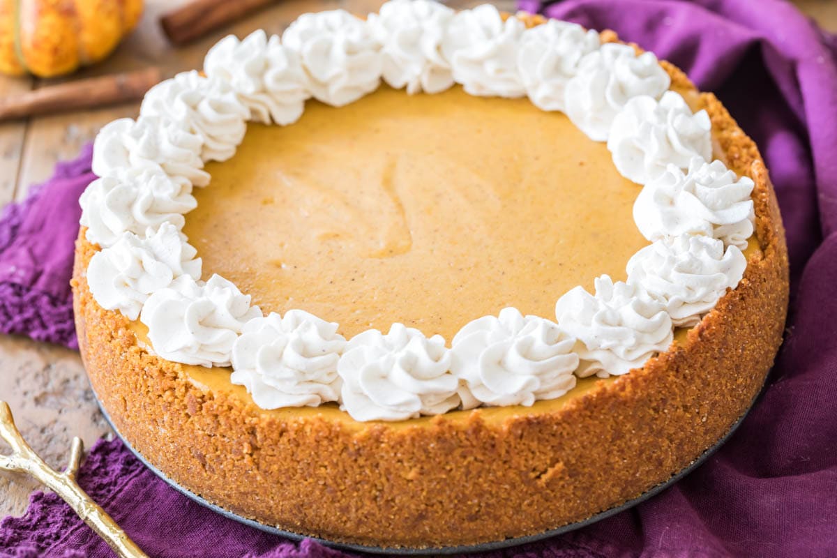 Whole pumpkin cheesecake topped with a whipped cream border.