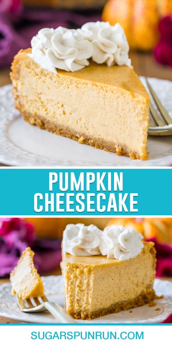 Pumpkin Cheesecake - Sugar Spun Run