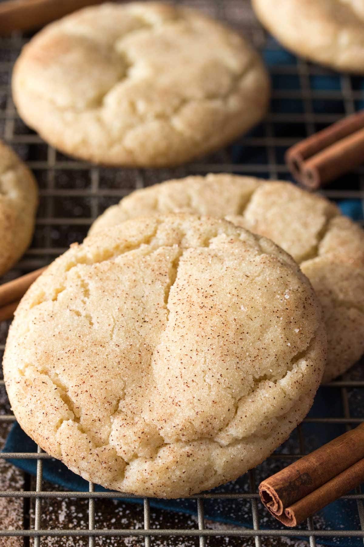 Close-up of two cookies with crackly tops and a cinnamon sugar coating.