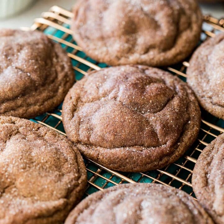 Snickerdoodle Recipe Sugar Spun Run