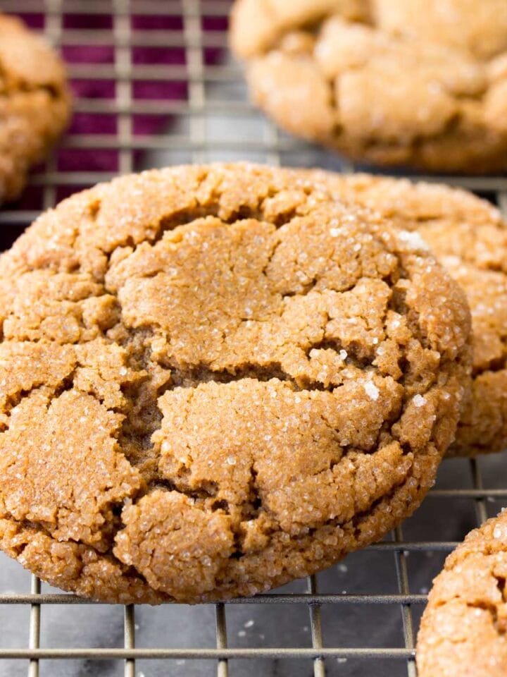 Cookies - Sugar Spun Run