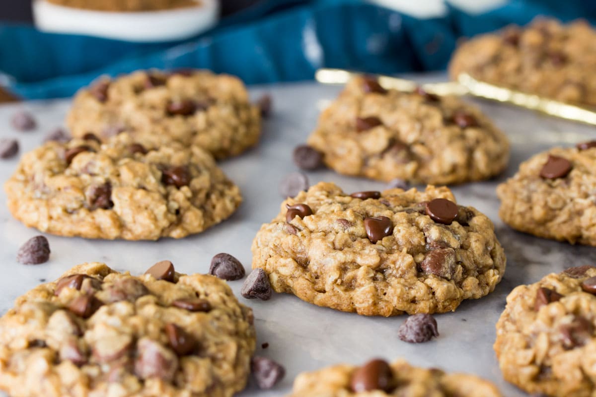 Oatmeal chocolate chip cookies on a baking sheet after baking.