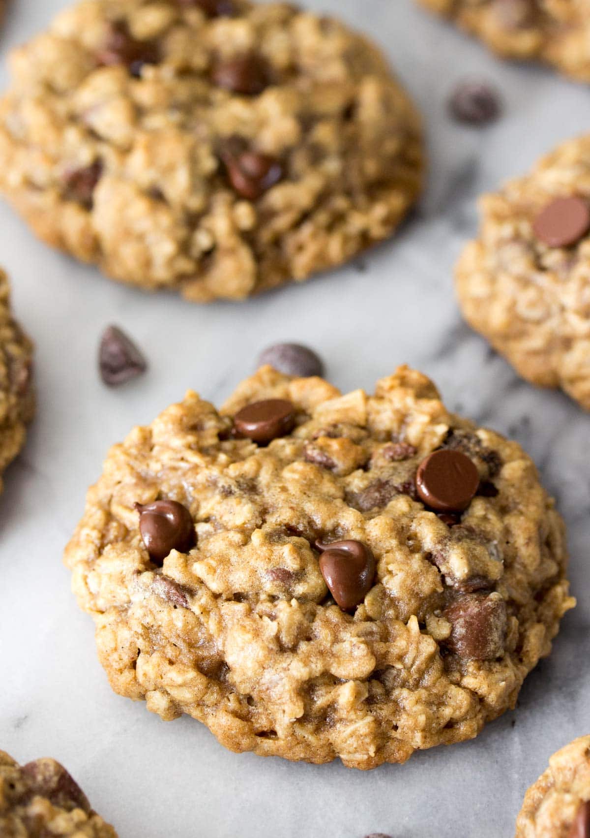 Quick Oat Chocolate Chip Cookie Recipe Dandk Organizer