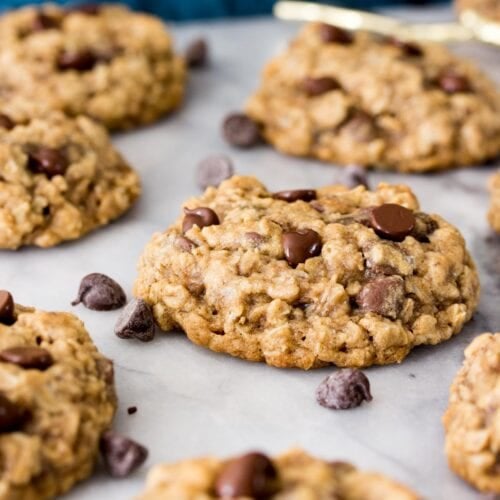 Oatmeal chocolate chip cookies on a baking sheet after baking.