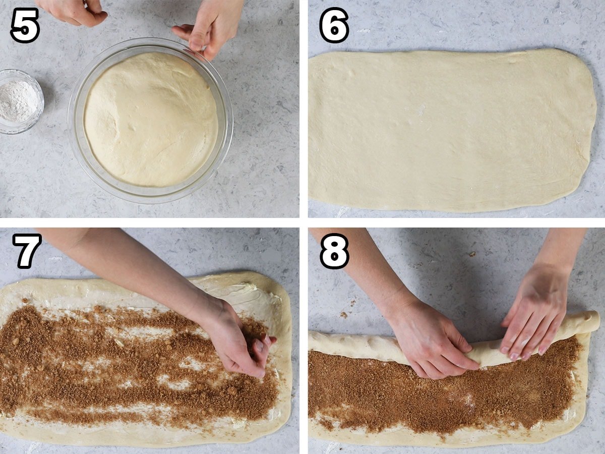 Collage of four photos showing a yeast dough being rolled out, covered in cinnamon sugar, and rolled into a log.