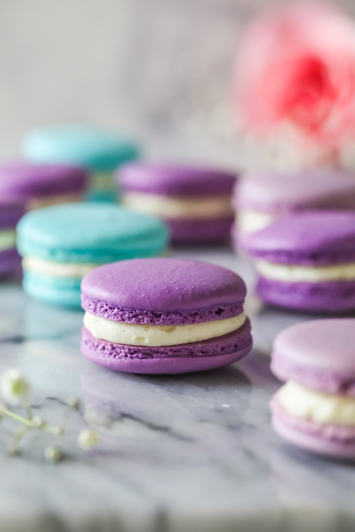 Purple French macarons with different color macarons in the background.