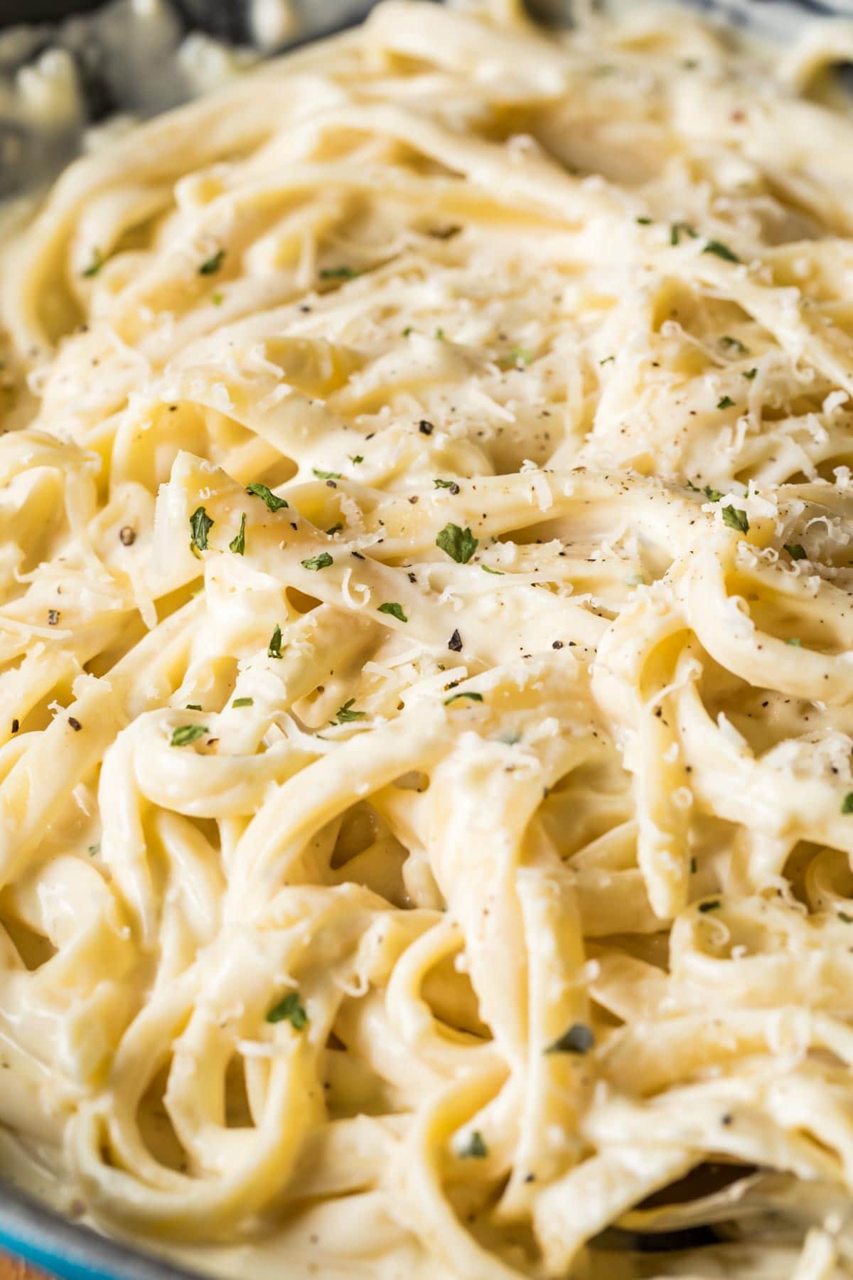 Close-up view of fettuccine pasta in a creamy alfredo sauce.