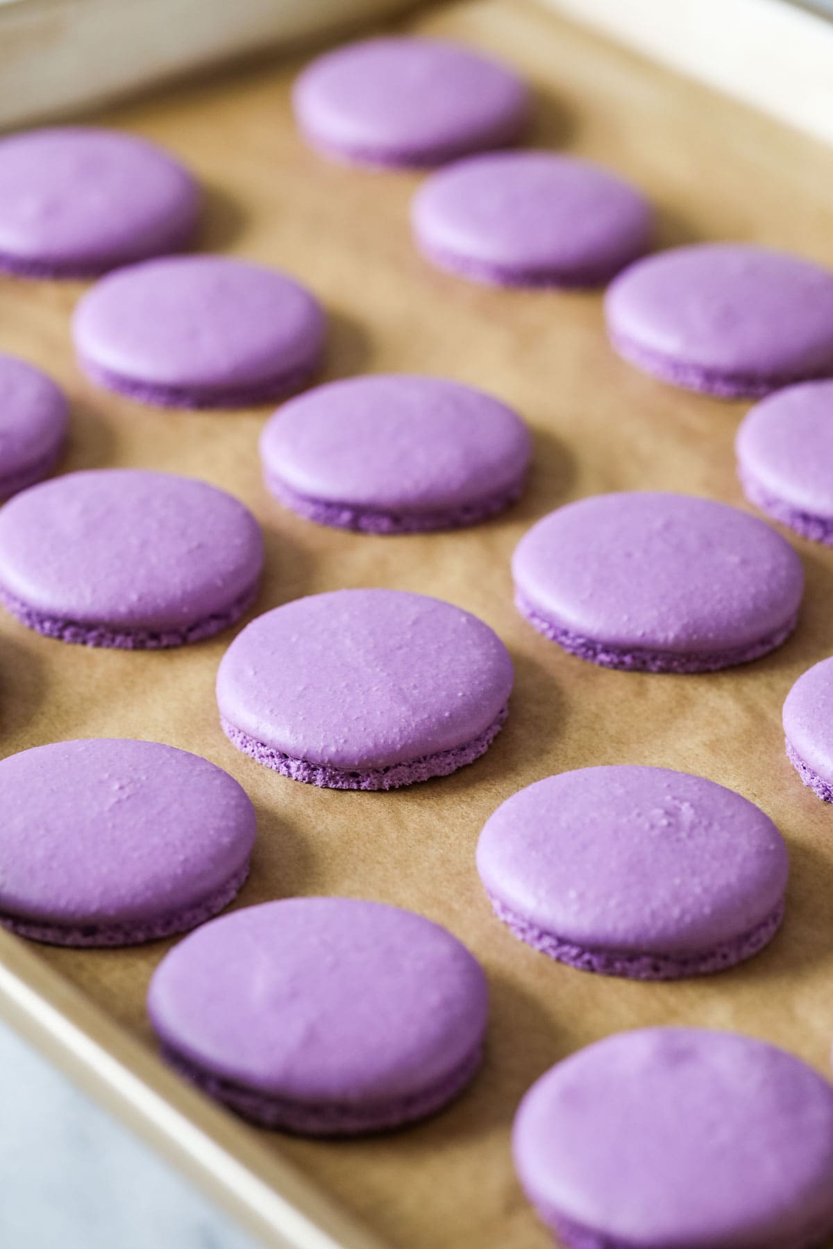 Freshly baked purple macaron shells on a parchment paper lined baking sheet