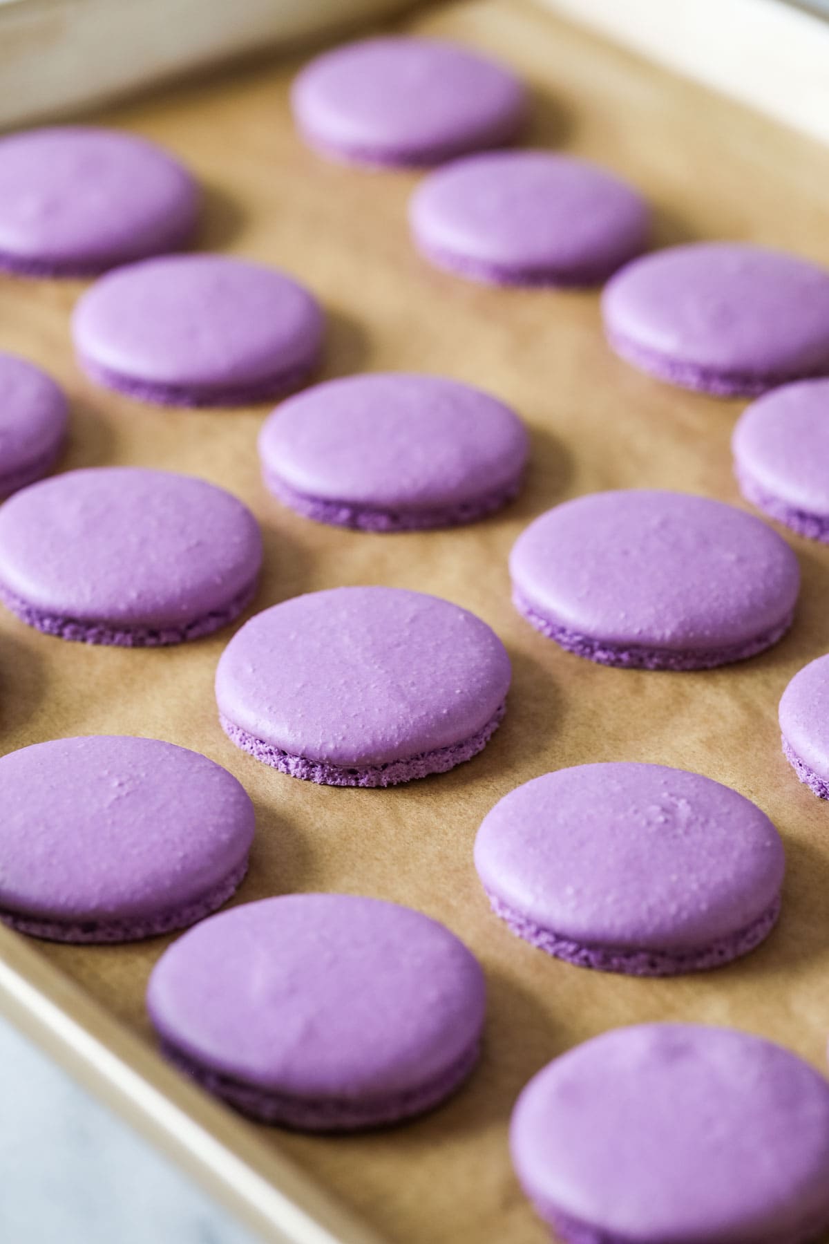 French Macaron Recipe For Beginners