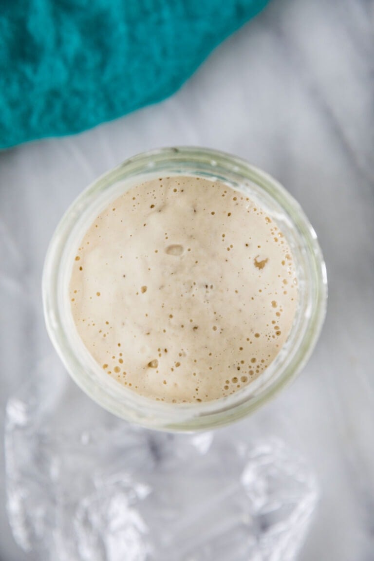 How to Make a Sourdough Starter Sugar Spun Run