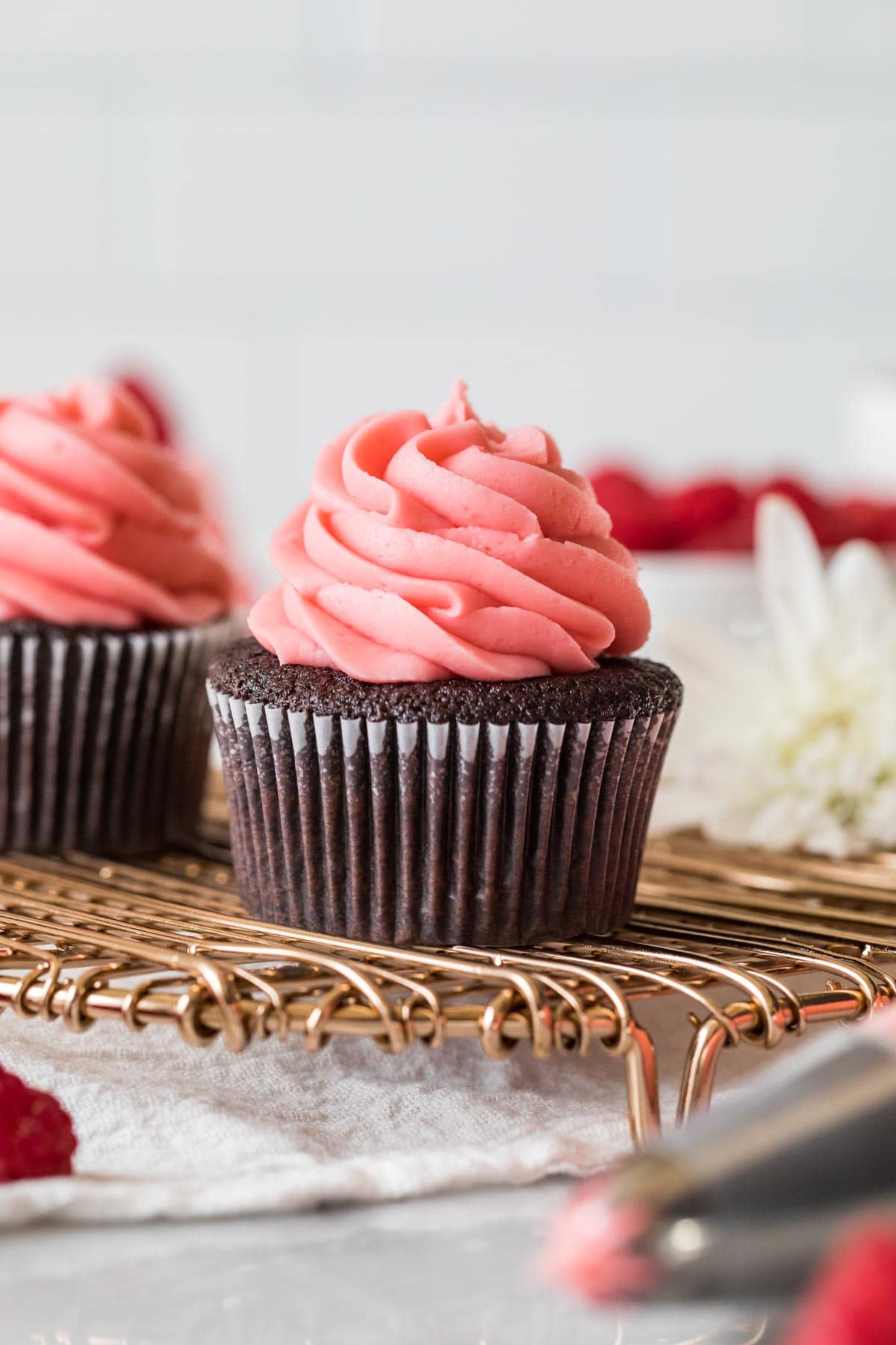 Head-on view of a chocolate cupcake frosted with pink frosting.