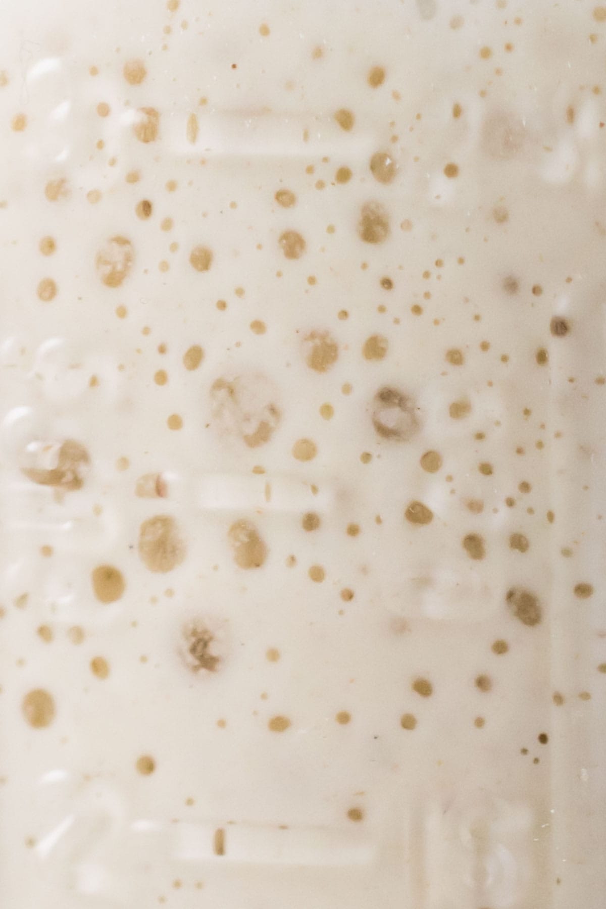 Close-up view of bubbles forming in a sourdough starter.