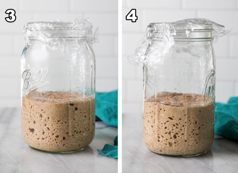 How to Make a Sourdough Starter Sugar Spun Run