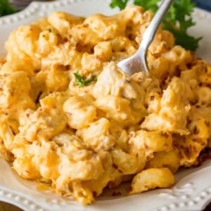 plate full of creamy buffalo chicken mac and cheese