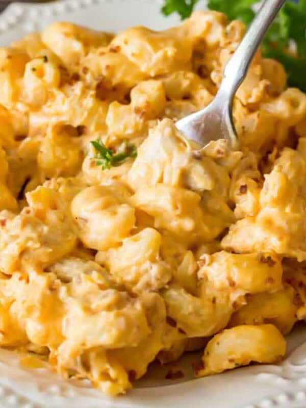 plate full of creamy buffalo chicken mac and cheese