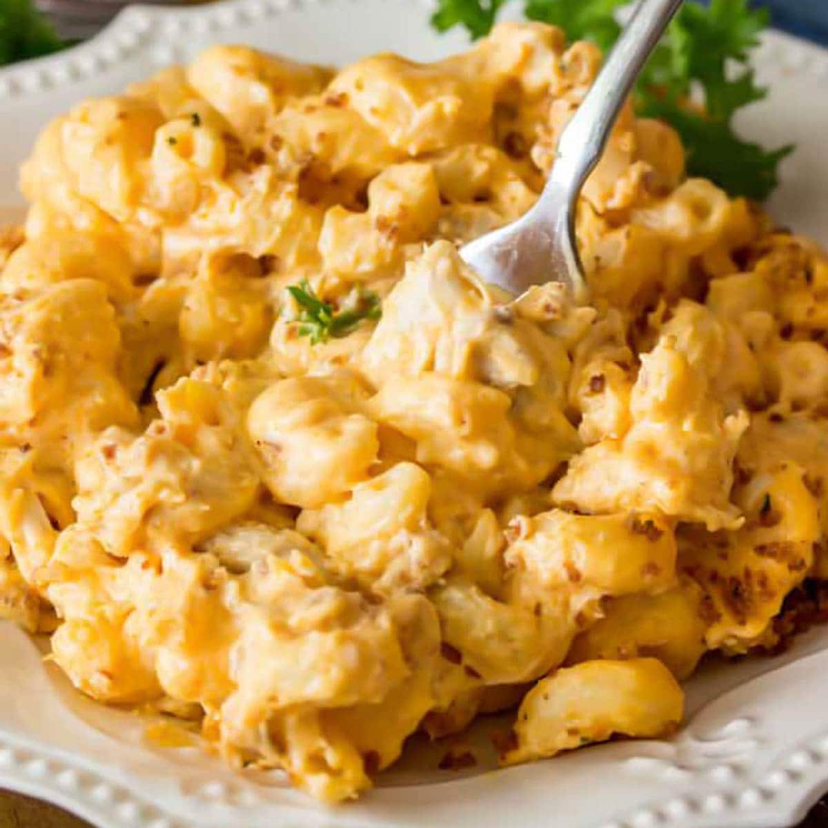 Chicken Mac and Cheese Recipe